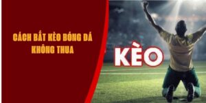 cach-bat-keo-bong-da-khong-thua-max88