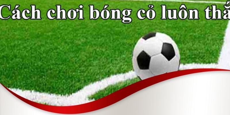 Tìm hiểu chi tiết về đội bóng kèo bóng cỏ Max88