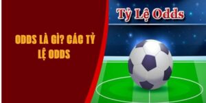 odds-la-gi-Max88