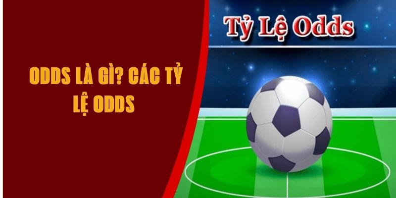 odds-la-gi-Max88