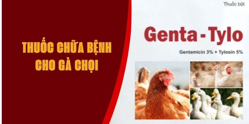 thuoc-chua-benh-cho-ga-choi-max88