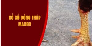 vay-ga-choi-than-ke-max88