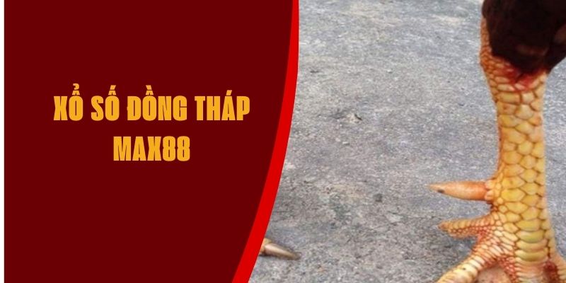 vay-ga-choi-than-ke-max88