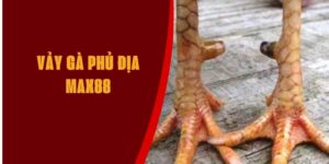 vay-ga-dia-phu-max88
