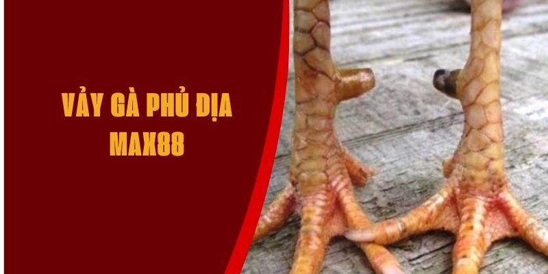 vay-ga-dia-phu-max88