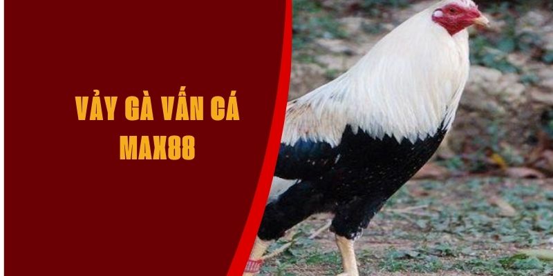 vay-ga-van-can-max88