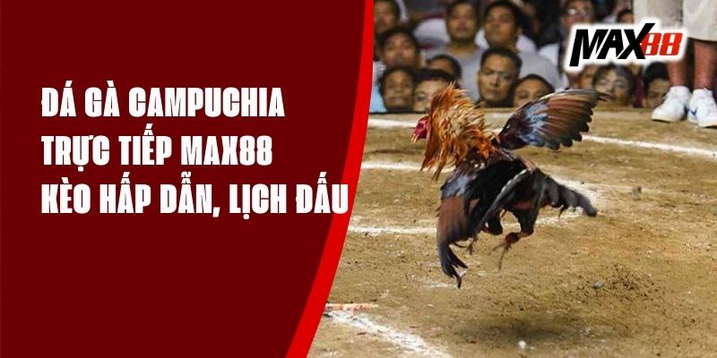 Đá Gà Campuchia Trực Tiếp Max88 - Kèo Hấp Dẫn, Lịch Đấu
