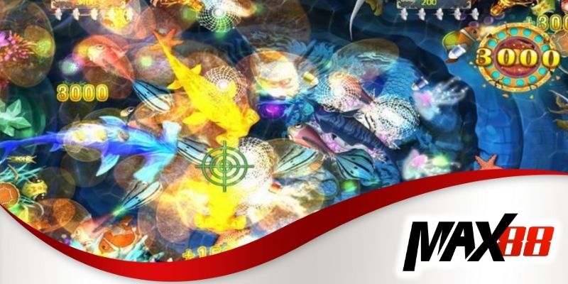 Cá rồng vàng là chúa tể đại dương mang lại chuỗi thắng liên tiếp