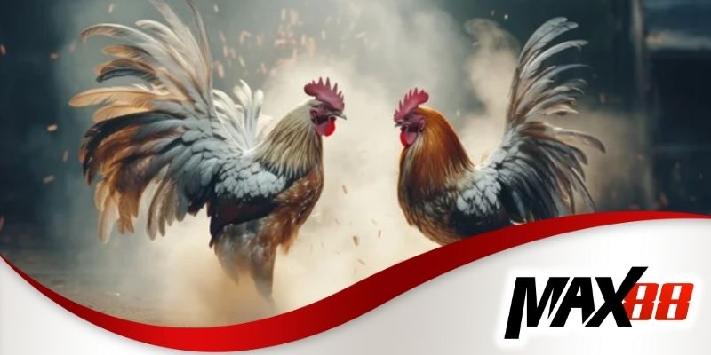Chạy theo kèo nhà cái mà không có chiến lược rõ ràng