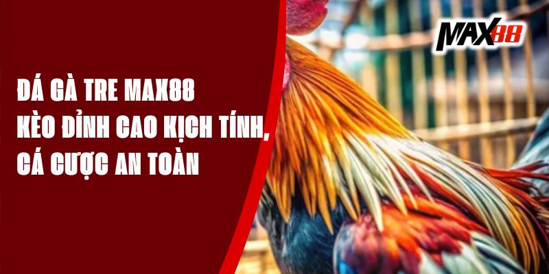 Kèo Đá Gà Tre Max88 - Đỉnh Cao Kịch Tính, Cá Cược An Toàn
