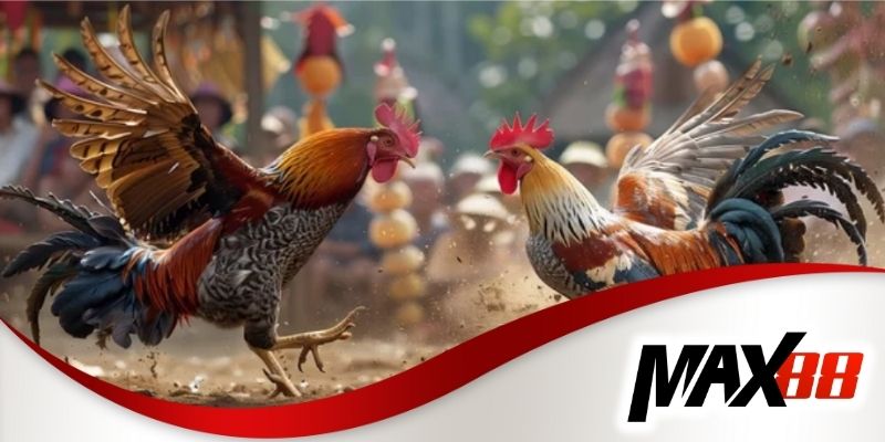 Max88 cung cấp nền tảng cá cược phong phú và tính giải trí cao