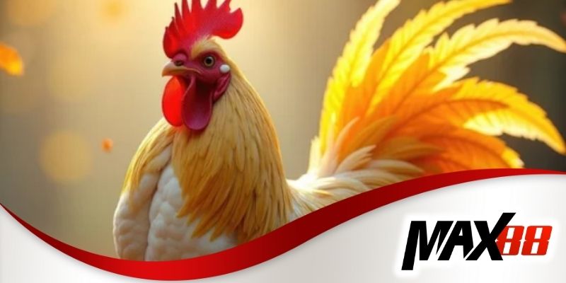 Cách quản lý vốn thông minh tại dakpuer đá gà Max88