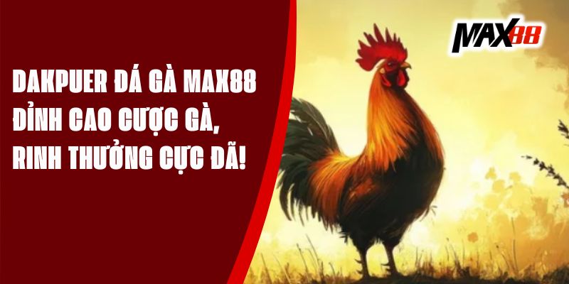Dakpuer Đá Gà Max88 – Đỉnh Cao Cược Gà, Rinh Thưởng Cực Đã!
